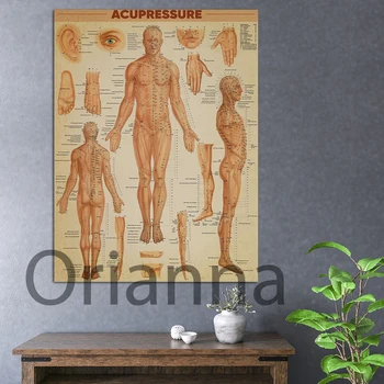 Hd Vytisknout Obraz Anatomie Body Pro Akupresuru A Akupunkturu Plátno Malba, Retro Domova Modulární Plakát Klinice Wall Art